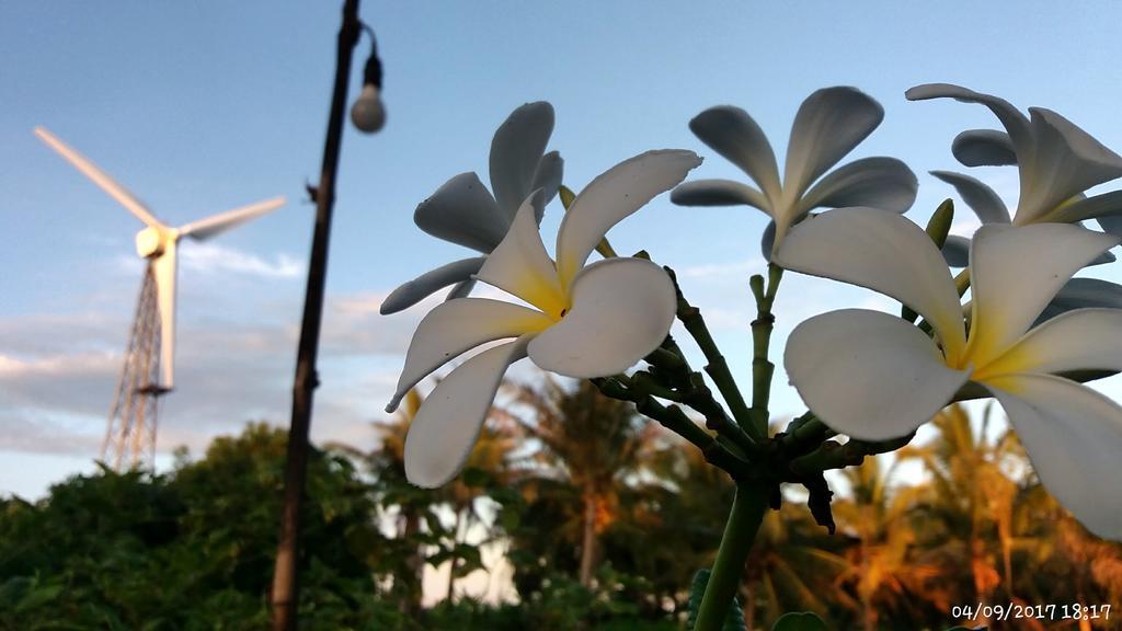 Rai Lung Tui Homestay Prachuap Khiri Khan Bagian luar foto