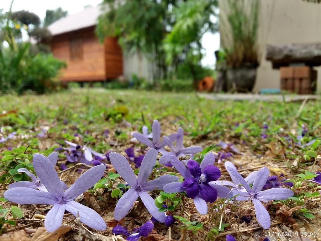 Rai Lung Tui Homestay Prachuap Khiri Khan Bagian luar foto
